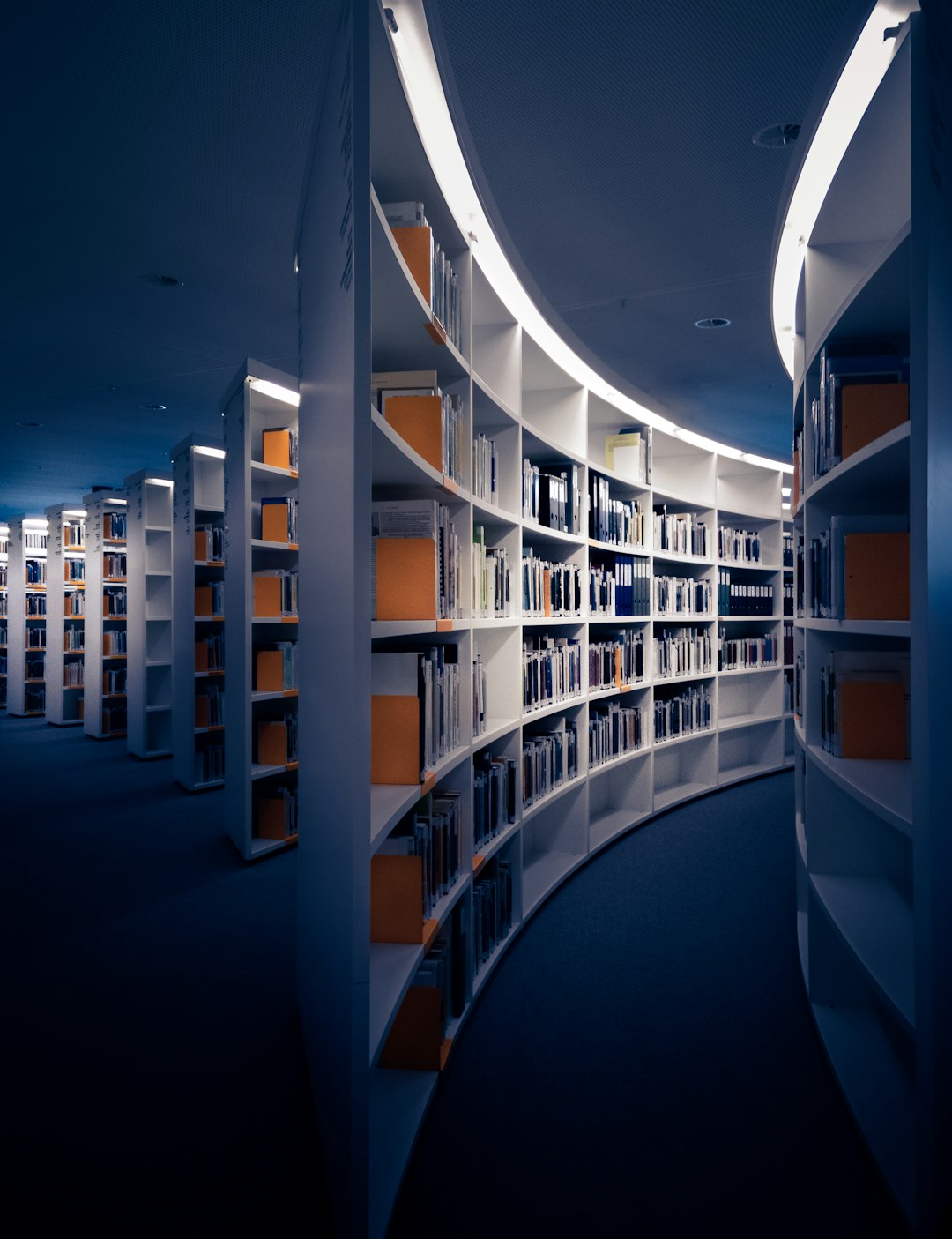 Services Studying in the Library